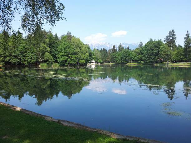 istock Lake in Brdo park 1295827647