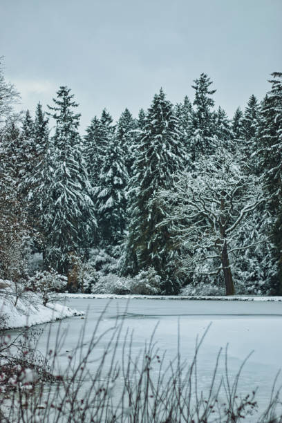 istock Pruhonice Park under snow beautiful winter 1295828758