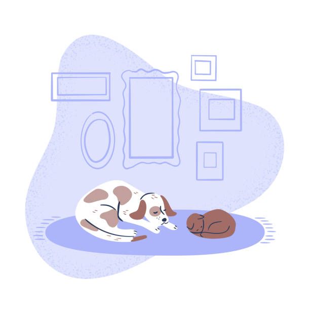illustrazioni stock, clip art, cartoni animati e icone di tendenza di illustrazione di cane e gatto comodamente appoggiati insieme sul tappeto - comfortably