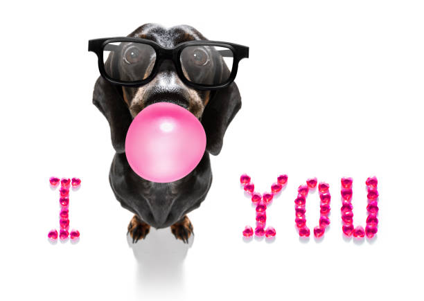 istock dog valentines love heart 1295833820