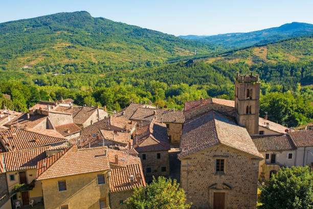 Rooftops in Santa Fiora, Tuscany The historic medieval village of Santa Fiora in Grosseto Province, Tuscany, Italy crete senesi stock pictures, royalty-free photos & images