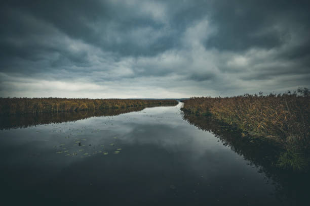 istock federsee lake in germany 1295837160