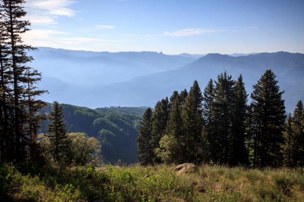 widoki na góry ze szczytu w górach san juan w kolorado - san juan basin zdjęcia i obrazy z banku zdjęć