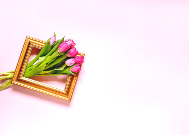 istock Spring composition, tulips in a gold frame on a pink pastel background 1295838632