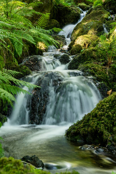 istock Canonteign Falls in Dartmoor 1295840192