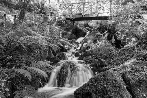 Long exposure of a waterfall flowing under a bridge at Canonteign Falls in Dartmoor