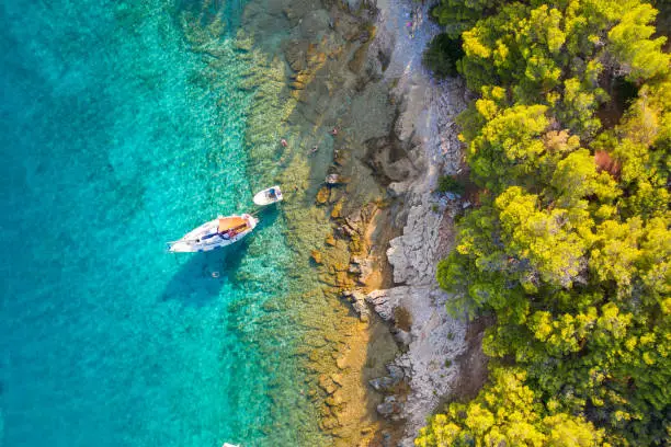 The aerial view shot from a drone shows the turquoise waters of the Adriatic Sea and the shoreline of the picturesque Hvar Island in Croatia. A small sailing boat is moored next to the shore which is covered with a lush pine forest.