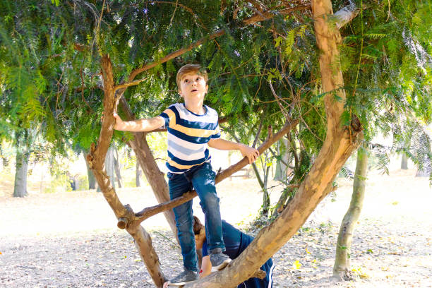 istock Small boy climbing on a tree at the park. 1295842300