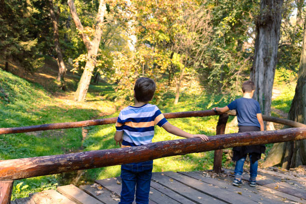 istock Small boy relaxing on wooden bridge in nature. 1295842994