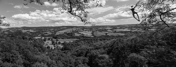 Panoramic photo from the top of the waterfall at Canonteign Falls overlooking the Teign Valley in Dartmoor