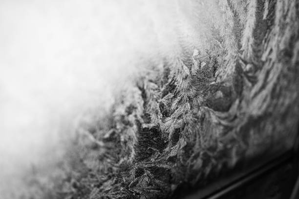 istock ice texture on a frozen window shallow focus in black and white 1295843342