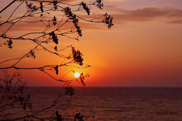 istock Sunset at the sea 1295844728