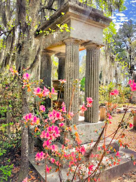 istock Spanish Moss & Pops of Pink 1295846202