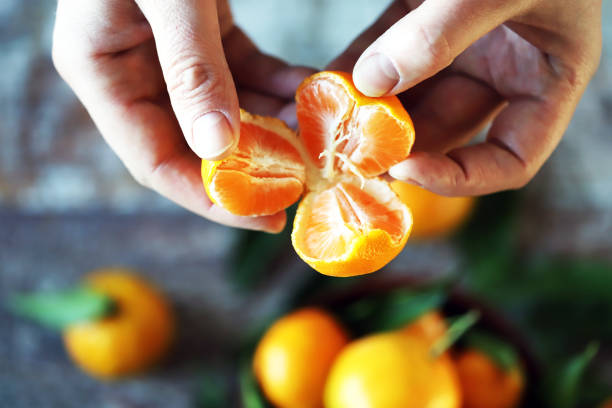 istock Hand holds mandrin. Ripe tangerines with leaves. 1295846670
