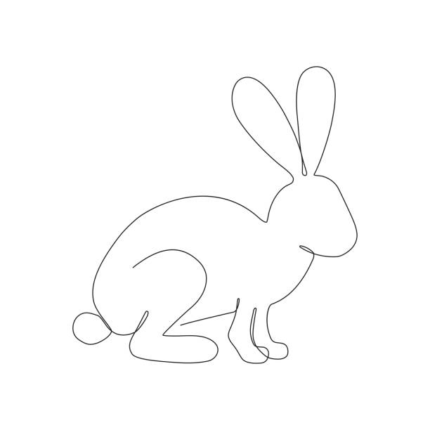  Ilustración de Conejo Una Línea Liebre De Dibujo De Líneas Continuas y más Vectores Libres de Derechos de Conejo