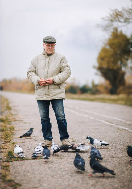 istock Man feeding pigeons in the old town 1295851481
