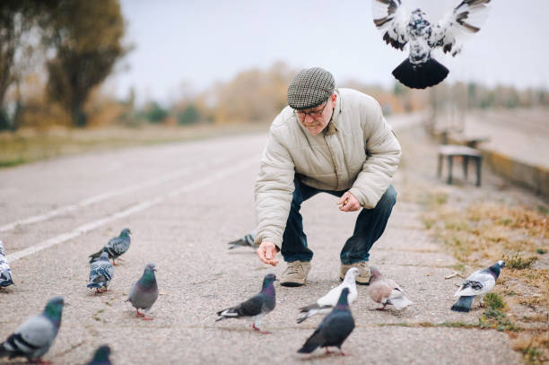 istock Man feeding pigeons in the old town 1295851482