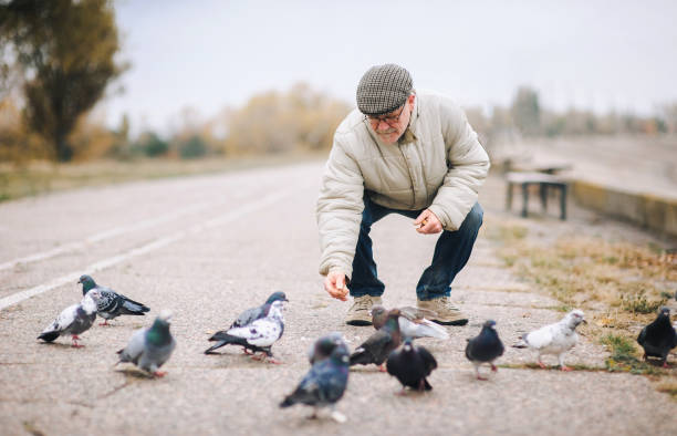istock Man feeding pigeons in the old town 1295851501