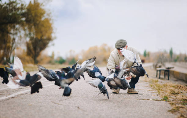 istock Man feeding pigeons in the old town 1295851508