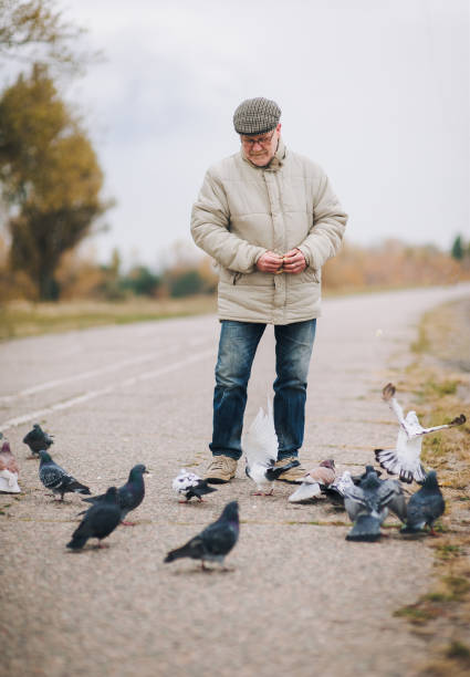 istock Man feeding pigeons in the old town 1295851509