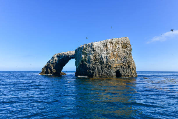 istock Arch Rock - Channel Islands 1295856014