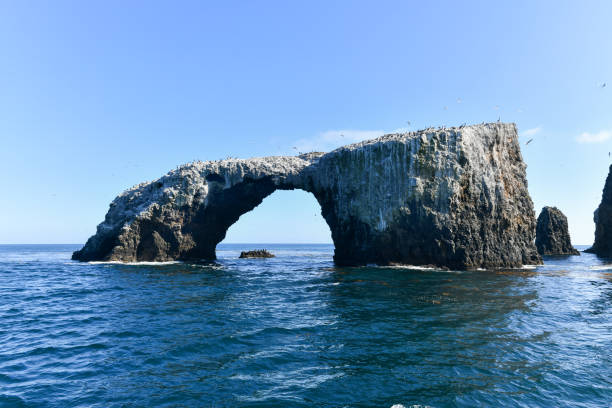 istock Arch Rock - Channel Islands 1295856027