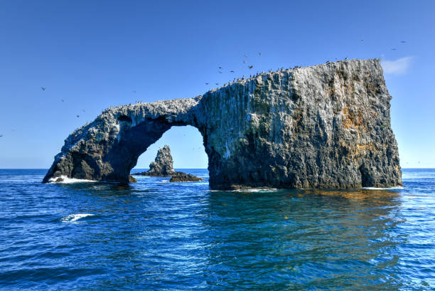 istock Arch Rock - Channel Islands 1295856044