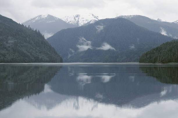 istock Spring forest by the ocean coast. British Columbia. 1295856138