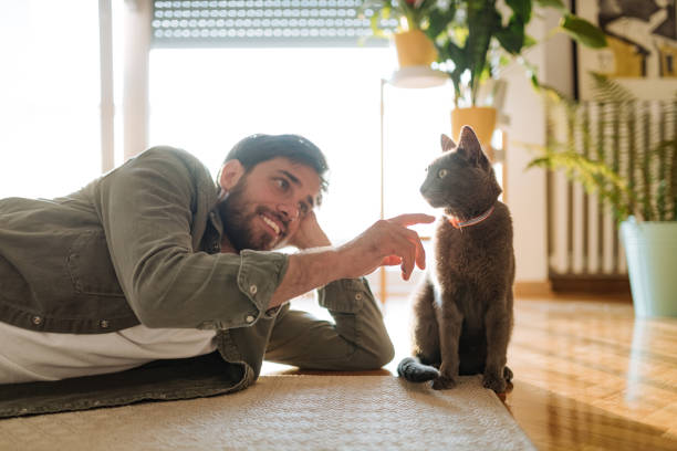 istock Man and cat at home playing on the floor and cuddling during lockdown 1295859141