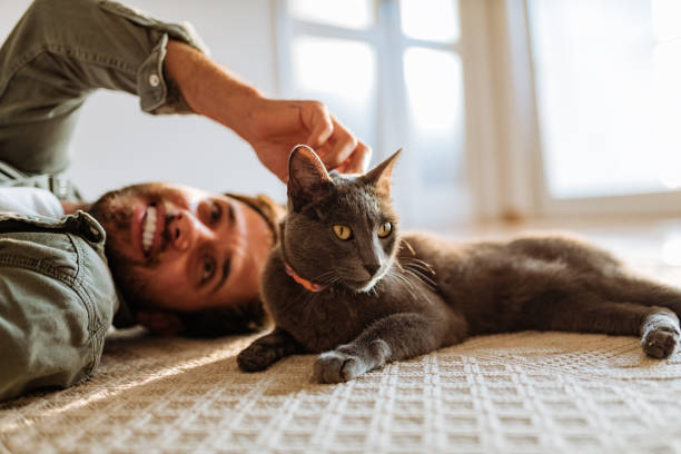 istock Man and cat at home playing on the floor and cuddling during lockdown 1295859142
