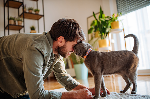 Overcoming mental health issues with pets