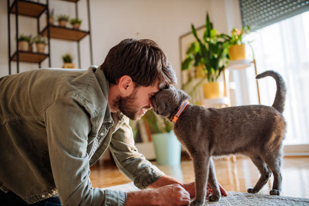 Overcoming mental health issues with pets stock photo