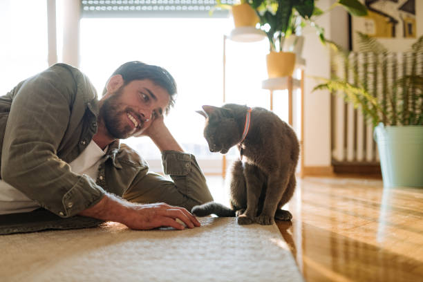 istock Man and cat at home playing on the floor and cuddling during lockdown 1295859170