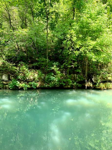 istock Dogwood Canyon Summertime 1295859325