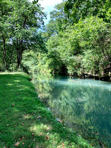 istock Dogwood Canyon Summertime 1295859353