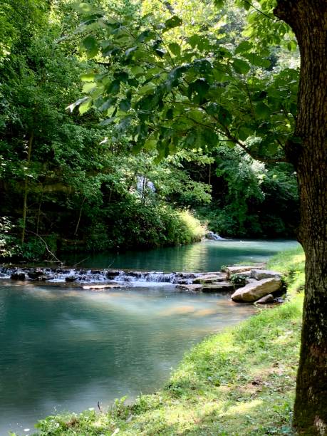 istock Dogwood Canyon Summertime 1295859359