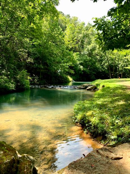 istock Dogwood Canyon Summertime 1295859406