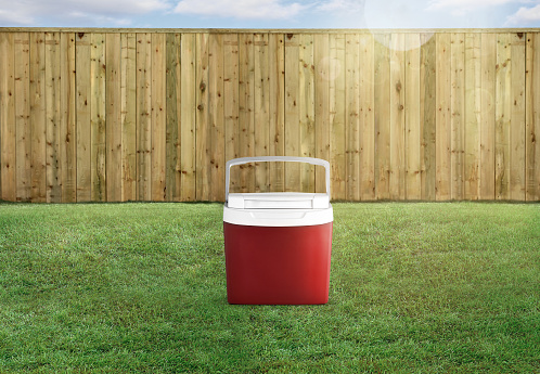 Red cooler box on a grass in a backyard