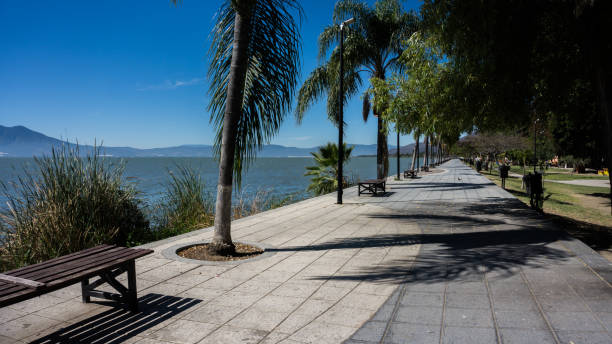 istock walker at the edge of a lake 1295860304