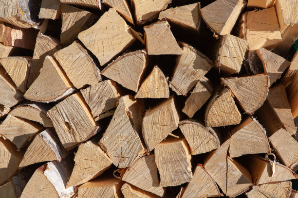 istock Background from stack of firewood from birch tree, for heating house, stacked in backyard, uncut wood, birch. Concept eco-friendly home heating during cold season. Overall plan. Horizontal format 1295860382