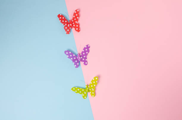 Three butterflies on blue and pink background