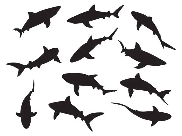 Vector illustration of Shark Silhouettes