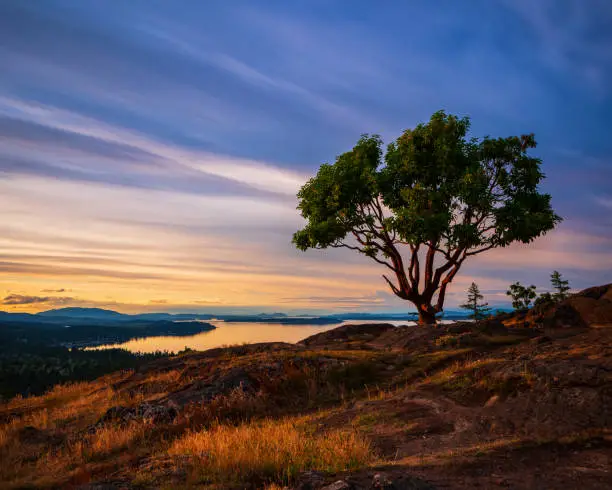 Photo of Mount Doug Victoria BC