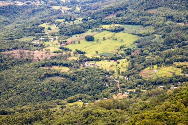 istock Farm field and forest over mountain 1295863950
