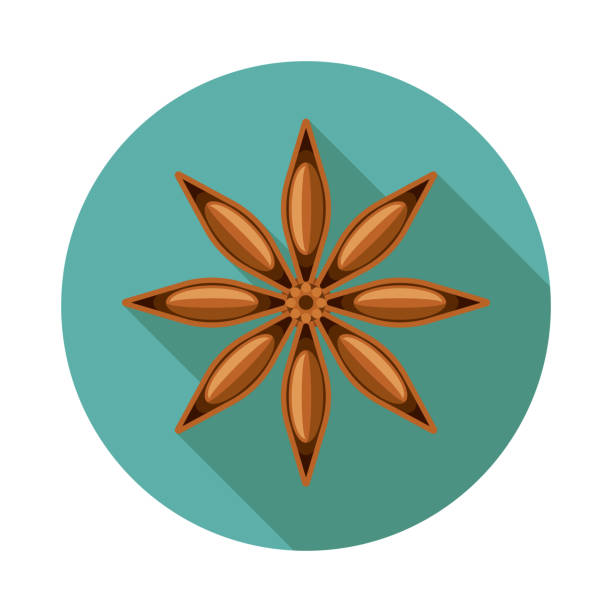 Star Anise Spice Icon A flat design spice icon. File is built in the CMYK color space for optimal printing. star anise stock illustrations