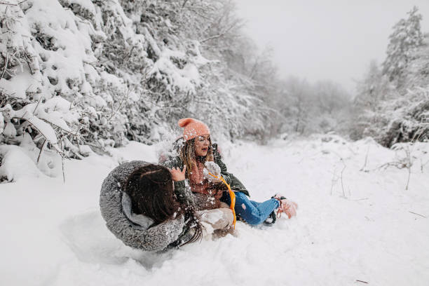 istock Best friends are rolling in the snow 1295867800