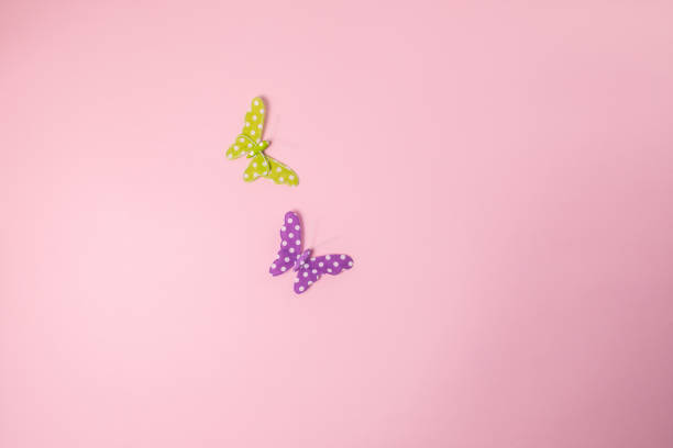 istock Two butterflies isolated on pink background 1295869148