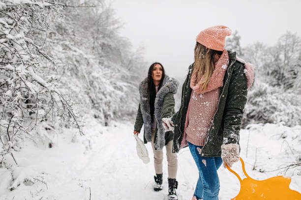 istock Best friends have fun in the snow 1295869823
