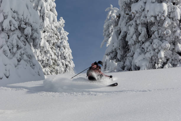 istock Woman skiing in powder snow 1295870343