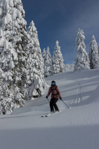 istock Woman skiing in powder snow 1295870355